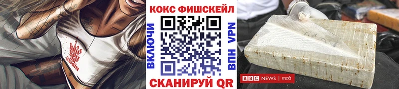 КОКАИН Fish Scale  Купить закладки  Лахденпохья 