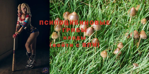 кокаин премиум Богородск