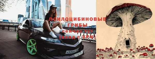 а пвп мука Богданович